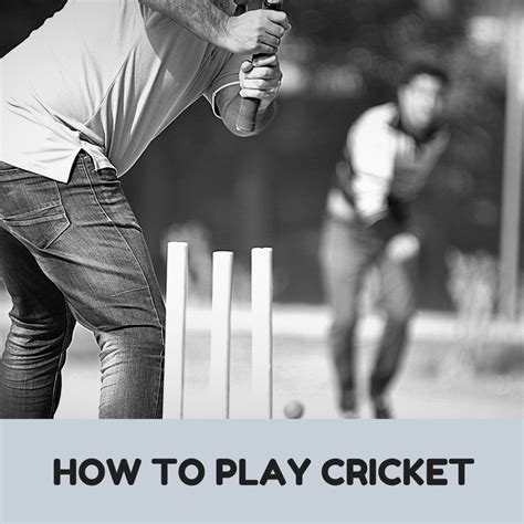What can I write about cricket?