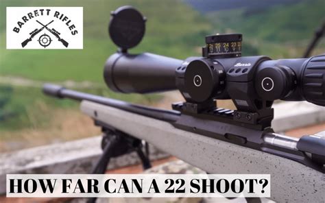 What can a .22 shoot?