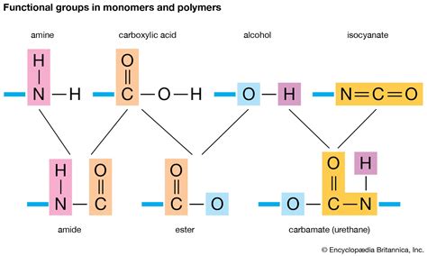 What can be a monomer?