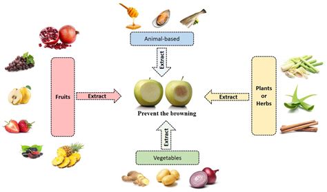 What can be used to prevent enzymatic browning?