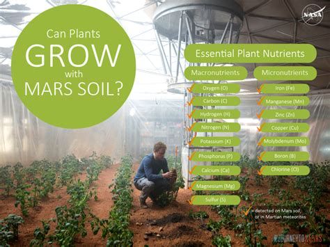 What can grow on Mars soil?