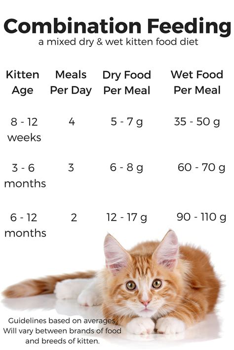 What can kittens eat at 4 weeks?