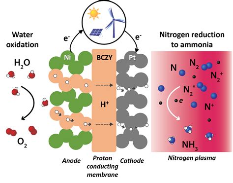 What can produce ammonia?