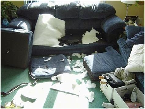 What can ruin a couch?