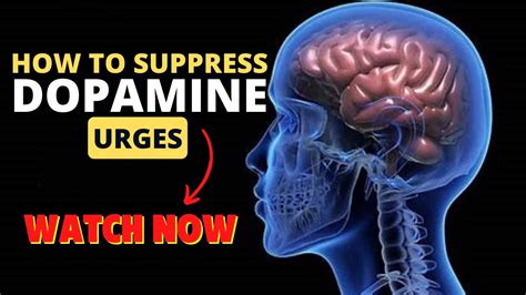 What can suppress dopamine?