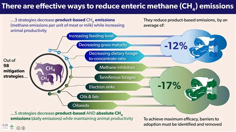 What can survive in methane?