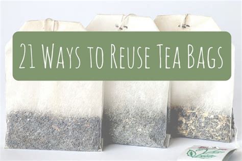 What can you do with used tea bags?