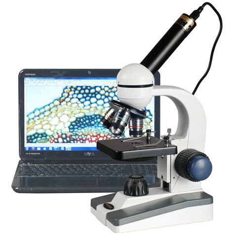 What can you see with a 40x 1000x microscope?