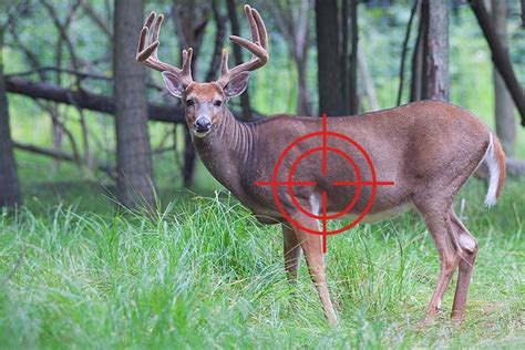 What can you shoot a deer with in Indiana?