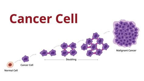 What cancers grow slowly?