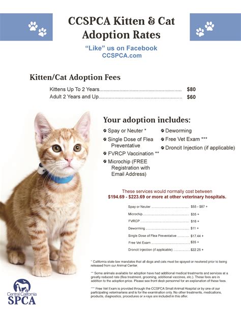What cats have the lowest adoption rate?