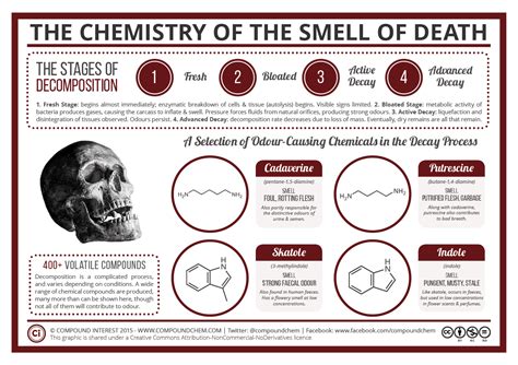 What causes death smell?