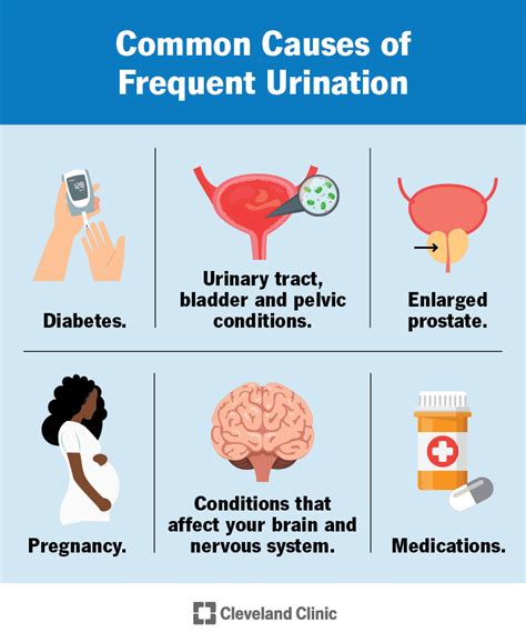 What causes excessive urination?