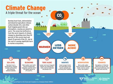 What causes life change?