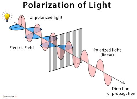 What causes polarization of light?