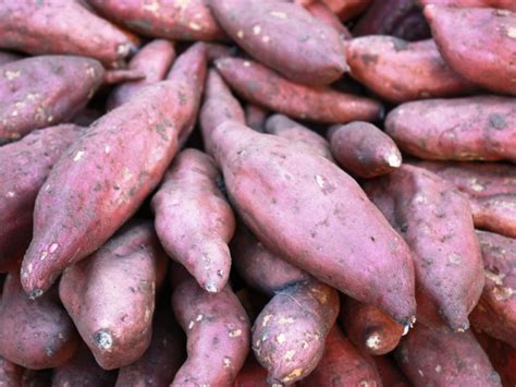 What causes sweet potatoes to rot?