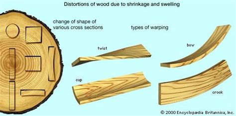 What causes wood to shrink?