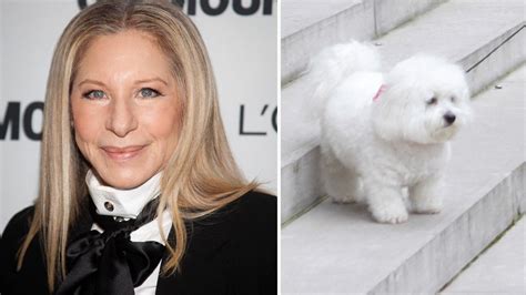 What celebrity cloned their dog?