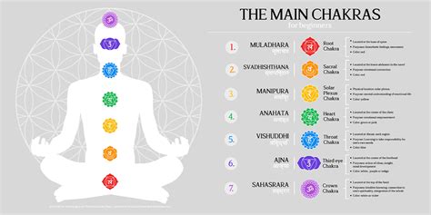 What chakra is the nose associated with?