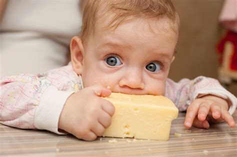 What cheese can babies not eat?