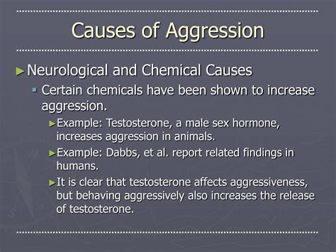 What chemical causes aggression?