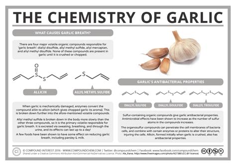 What chemical does garlic produce?