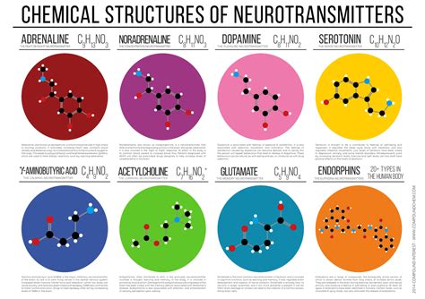 What chemical is released when you dream?