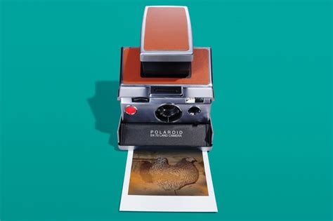 What chemicals are in a Polaroid?