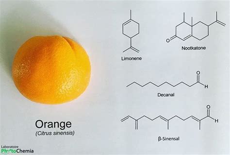 What chemicals are in oranges?