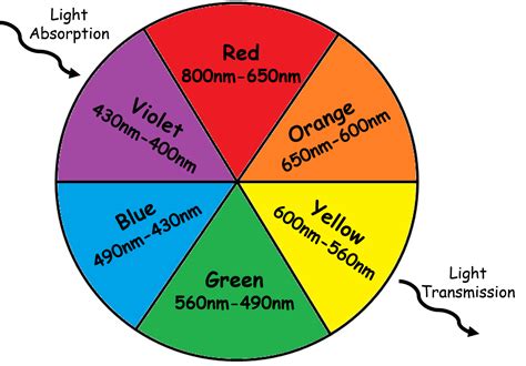 What color absorbs the most energy?