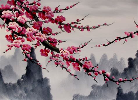 What color are Chinese cherry blossoms?