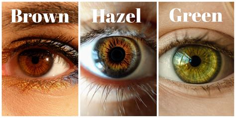 What color are hazel eyes?
