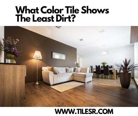 What color bathroom tile shows the least dirt?