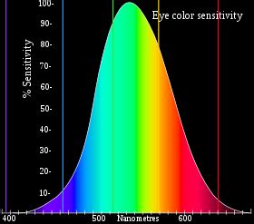 What color do humans see best?