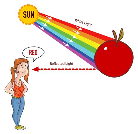 What color does not absorb sunlight?