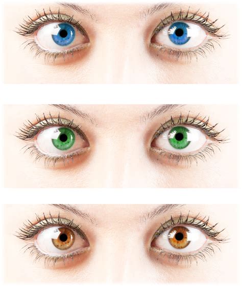 What color eyes are dominant?