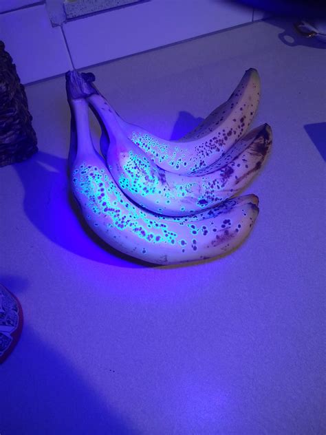 What color is a banana under a blacklight?