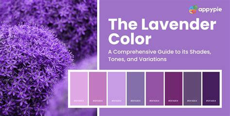 What color is lavender?