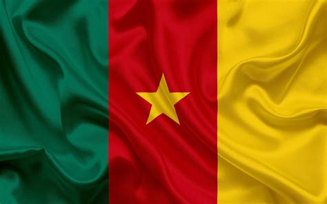 What color is the Cameroon flag?