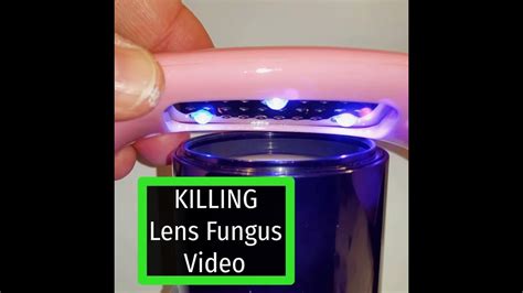 What color light kills fungus?