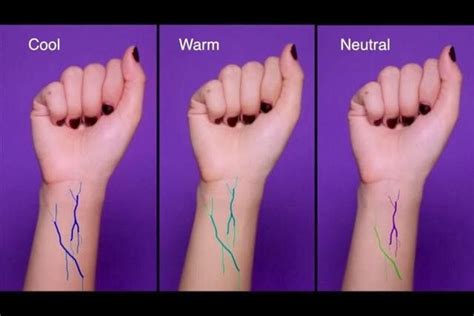 What color should veins be?