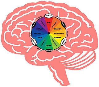 What color stimulates the brain?