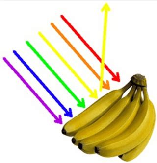 What colors does a banana reflect?