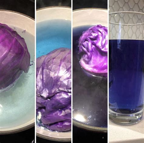 What colour does red cabbage turn in water?