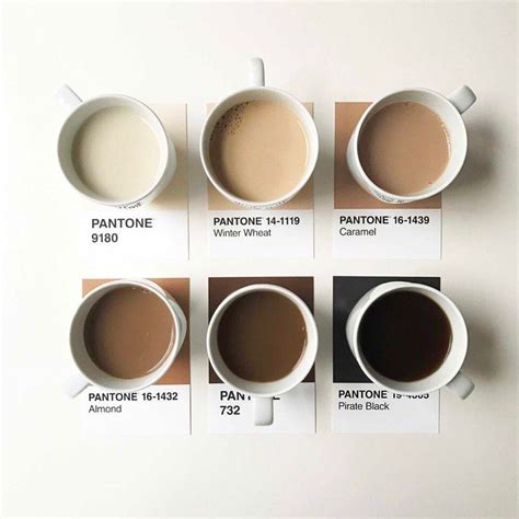 What colour is light coffee?