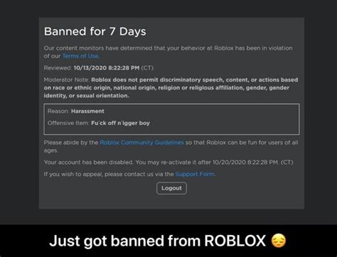 What comes after 7 day ban on Roblox?