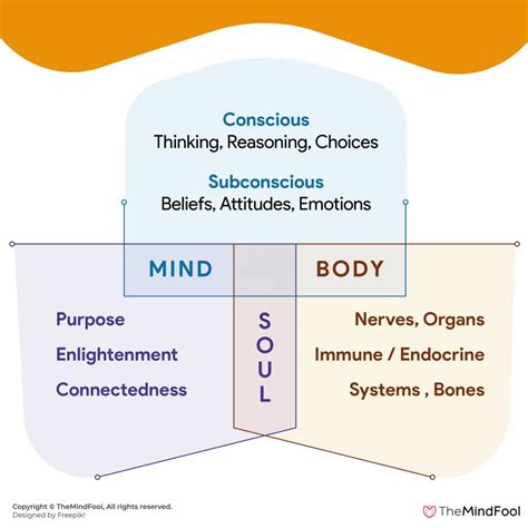What connects mind body and soul?