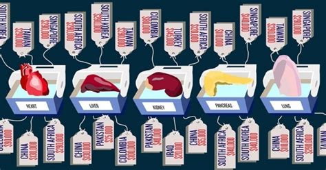 What countries are organ trafficking?