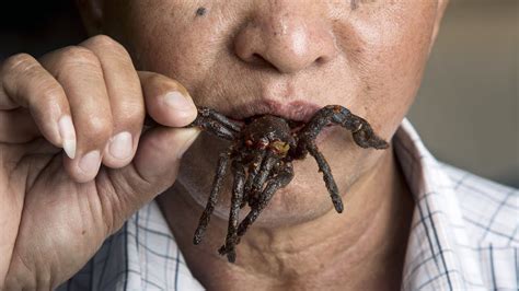 What countries eat spiders?