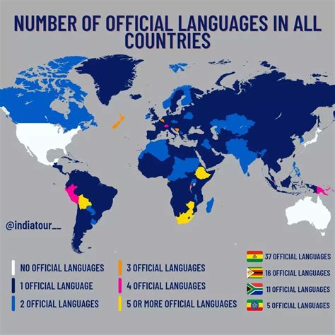 What country has 11 official languages?
